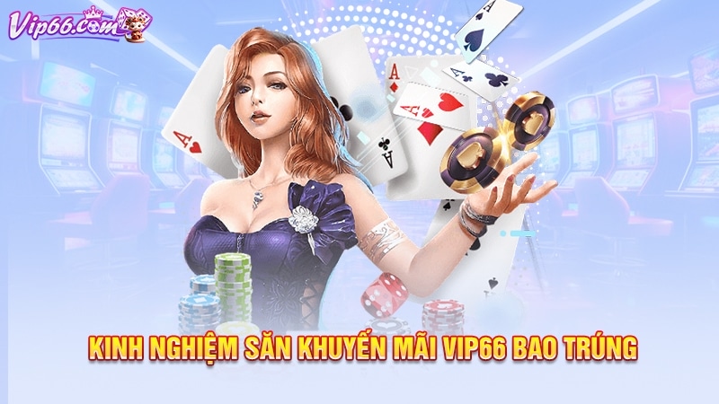  Kinh nghiệm săn khuyến mãi Vip66 bao trúng